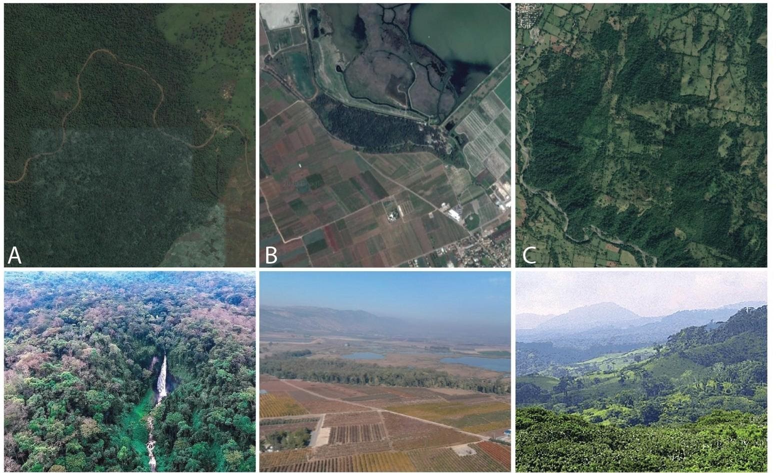 Exemple d’aires protégées parmi les plus importantes du monde en termes de biodiversité selon cette étude : A- Parc national de Kahuzi-Biega en République Démocratique du Congo (Catégorie IUCN II) ; B- Réserve naturelle d’Hula en Israël